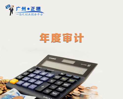 年度財務報表審計（資產總額或年收入在50萬以內）