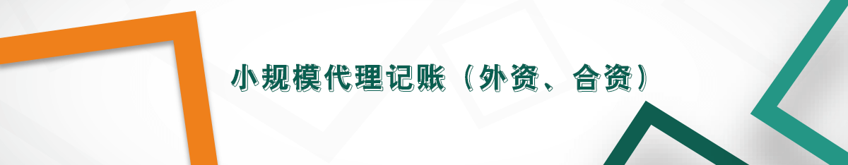 小規模代理記賬(外資、合資) 小規模代理記賬(外資、合資)