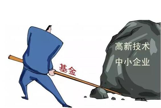 技型中小企業(yè)創(chuàng)業(yè)投資引導(dǎo)基金項(xiàng)目