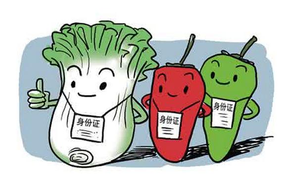 關于廣州食品流通許可證辦理流程、條件、費用